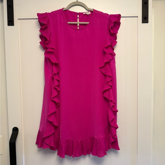 Pink Ruffle TCEC Dress - Picture 2 of 7